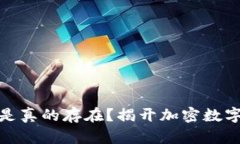 小狐狸钱包是不是真的存